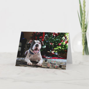 Cartes Pour Fêtes Annuelles Bubba bonnes fêtes