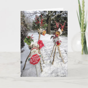 Cartes Pour Fêtes Annuelles Bûche blanche Reindeer