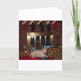 Cartes Pour Fêtes Annuelles bull anglais terrier noël foyer actuel