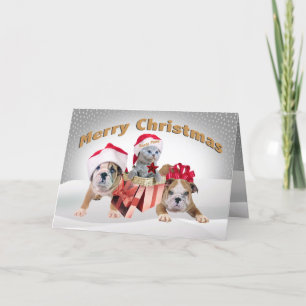 Cartes Pour Fêtes Annuelles Bulldog anglais avec chatonsCartes de Noël