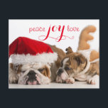 Cartes Pour Fêtes Annuelles Bulldog Anglais Père Noël Et Reindeer<br><div class="desc">chiens de noël - français bulldog père Noël et rudolph sur arrière - plan blanc © et ® Bigstock® - Tous droits réservés.</div>