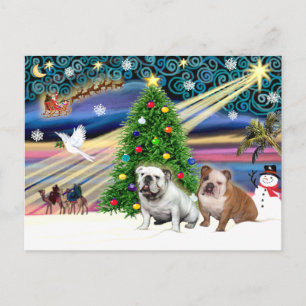 Cartes Pour Fêtes Annuelles Bulldogs anglais magique de Noël (deux)
