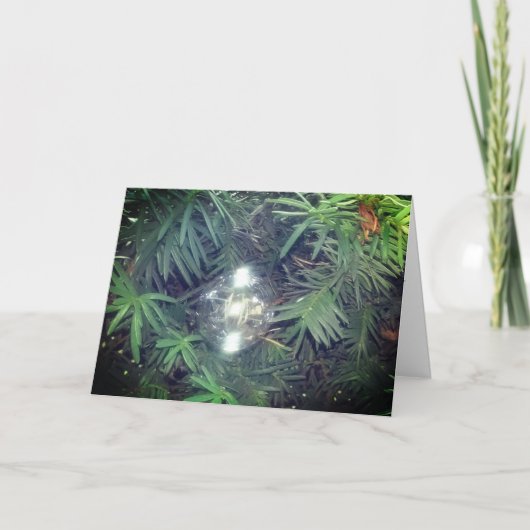 Cartes Pour Fêtes Annuelles Bulle de vacances (Devant)