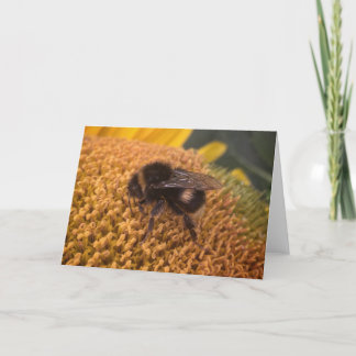 Cartes Pour Fêtes Annuelles Bumblebee de tournesol