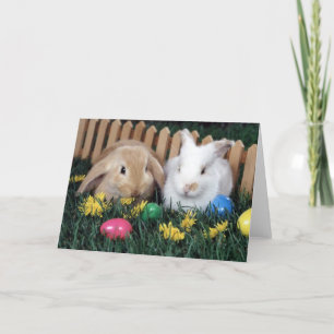 Cartes Pour Fêtes Annuelles Bunnies de Pâques