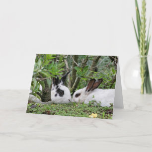 Cartes Pour Fêtes Annuelles Bunny Couple