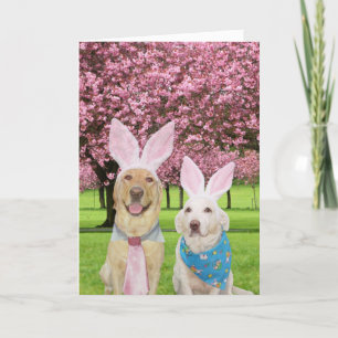 Cartes Pour Fêtes Annuelles Bunny Labs