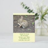 CARTES POUR FÊTES ANNUELLES BUNNY RABBIT /HUMOROUS POSTCARD (Debout devant)