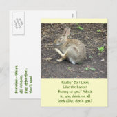 CARTES POUR FÊTES ANNUELLES BUNNY RABBIT /HUMOROUS POSTCARD (Devant / Derrière)
