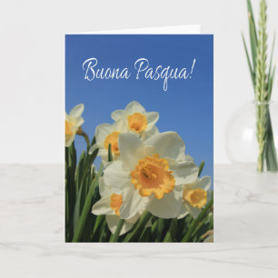 Cartes Pour Fêtes Annuelles Buona Pasqua Italien Bonne Pâques