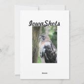 Cartes Pour Fêtes Annuelles Buse à queue rouge (Dos)