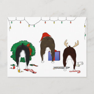 Cartes Pour Fêtes Annuelles Butt A Boston Terrier Christmas