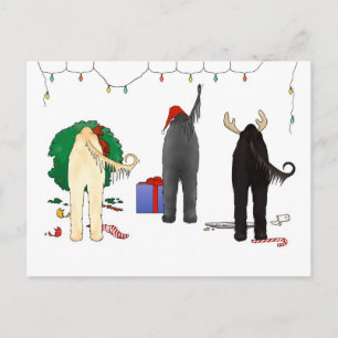 Cartes Pour Fêtes Annuelles Butt An Afghan Christmas