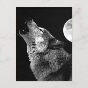 Cartes Pour Fêtes Annuelles BW Wolf Howling at Moon