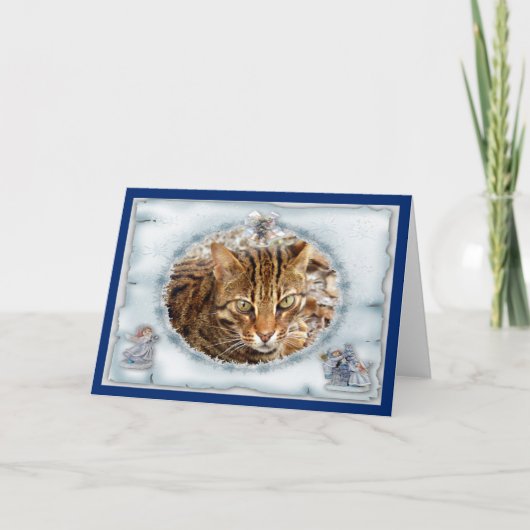 Cartes Pour Fêtes Annuelles c-bengal-chat-9 (Devant)