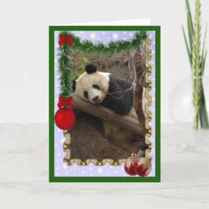 Cartes Pour Fêtes Annuelles c-panda-21-c