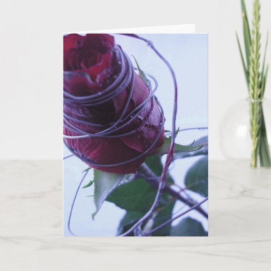 Cartes Pour Fêtes Annuelles Câblé (Devant)