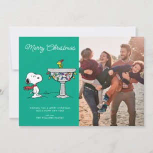 Cartes Pour Fêtes Annuelles cacahuètes   Snoopy & Woodstock Froid Birdbath