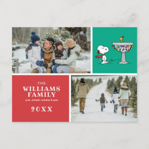 Cartes Pour Fêtes Annuelles cacahuètes   Snoopy & Woodstock Froid Birdbath