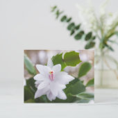 Cartes Pour Fêtes Annuelles Cactus de Noël blanc Schlumbergera Pot Fleurs (Debout devant)