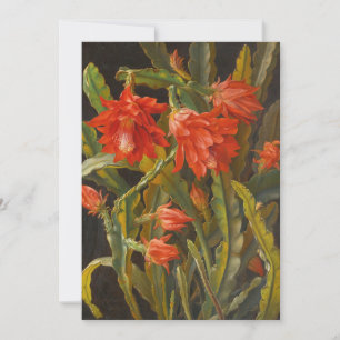 Cartes Pour Fêtes Annuelles Cactus de Noël Christian Möllback