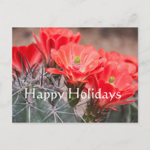 Cartes Pour Fêtes Annuelles Cactus Hérisson ,Joyeuses Fêtes