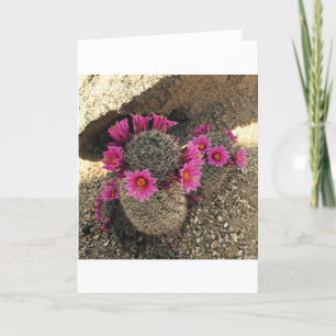 Cartes Pour Fêtes Annuelles Cactus rose en fleur