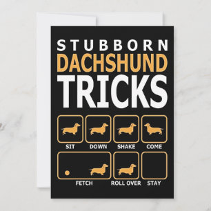 Cartes Pour Fêtes Annuelles Cadeau Chien   Tours de Dachshund Têtu
