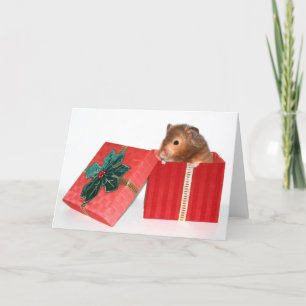 Cartes Pour Fêtes Annuelles Cadeau de Noël de hamster