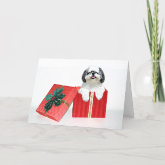 Cartes Pour Fêtes Annuelles Cadeau de Noël de Shih Tzu