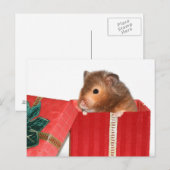 Cartes Pour Fêtes Annuelles cadeau de Noël Hamster (Devant / Derrière)
