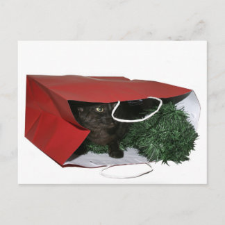 Cartes Pour Fêtes Annuelles Cadeau de Noël spécial