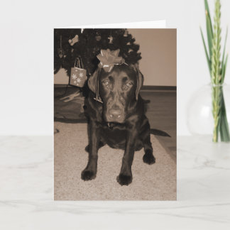 Cartes Pour Fêtes Annuelles Cadeau Enveloppé Labrador