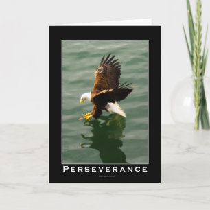 Cartes Pour Fêtes Annuelles Cadeau Motivationnel Aigle Bald