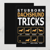 Cartes Pour Fêtes Annuelles Cadeau pour chien | Tours de teckel obstiné (Devant / Derrière)