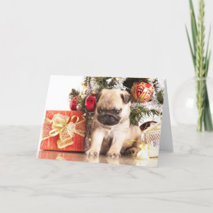 Cartes Pour Fêtes Annuelles Cadeaux de carlins et de Noël