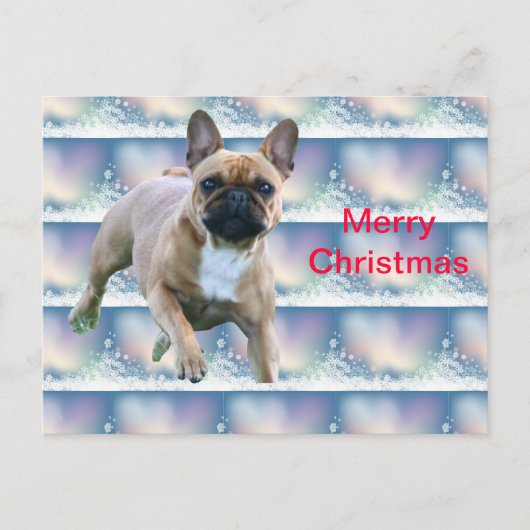 Cartes Pour Fêtes Annuelles Cadeaux de Noël de Bouledogue Français (Devant)