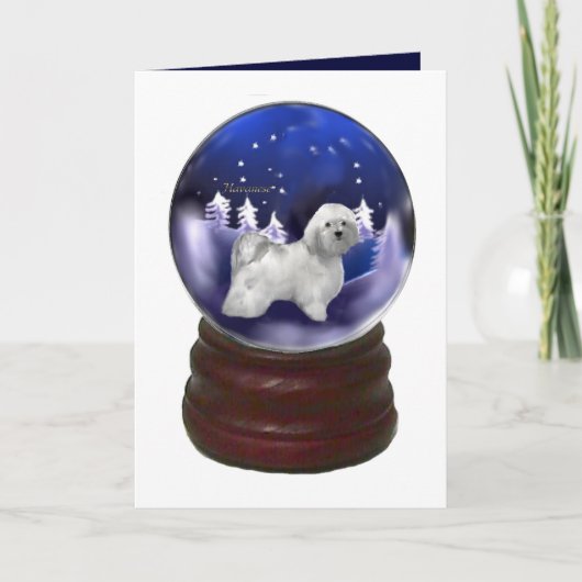 Cartes Pour Fêtes Annuelles Cadeaux de Noël de Havanese (Devant)