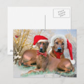 Cartes Pour Fêtes Annuelles Cadeaux de Noël de Rhodesian Ridgeback (Devant / Derrière)