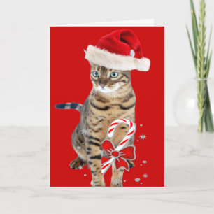 Cartes Pour Fêtes Annuelles Cadeaux du Bengale Père Noël