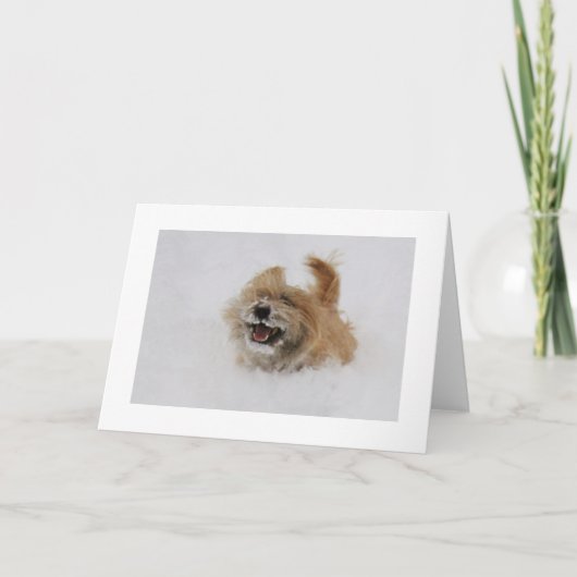 Cartes Pour Fêtes Annuelles Cairn Pounce (Devant)