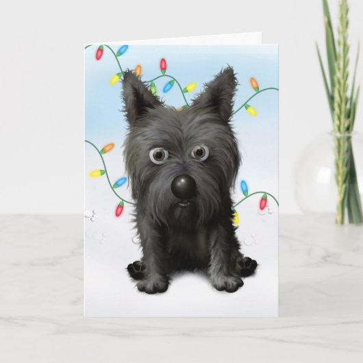 Cartes Pour Fêtes Annuelles Cairn Terrier 2 Noël (Devant)