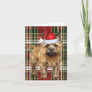 Cartes Pour Fêtes Annuelles Cairn Terrier Chien de Noël Joué Noël