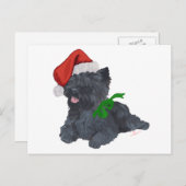 Cartes Pour Fêtes Annuelles Cairn Terrier Christmas (Devant / Derrière)