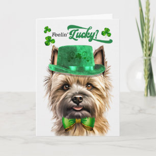Cartes Pour Fêtes Annuelles Cairn Terrier Dog Se Sentant Chanceux à la Saint-P