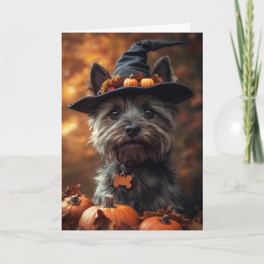 Cartes Pour Fêtes Annuelles Cairn Terrier Halloween (Devant)