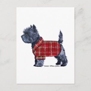 Cartes Pour Fêtes Annuelles Cairn Terrier Holiday