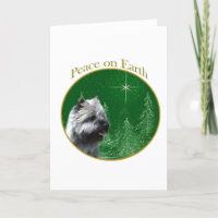 Cairn Terrier Paix