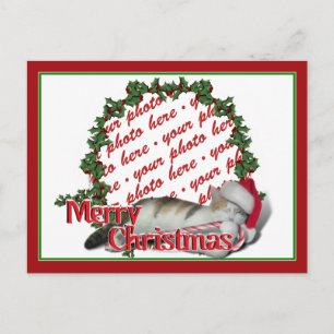 Cartes Pour Fêtes Annuelles Cali le cadre photo du chat de Noël de Calico