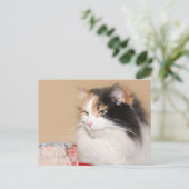 Cartes Pour Fêtes Annuelles Calico chat mange gâteau d'anniversaire (Debout devant)